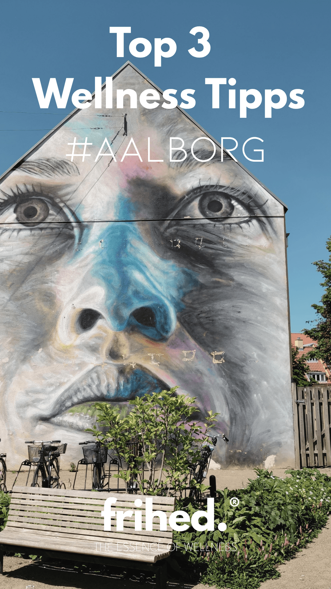 Top 3 wellness-tips i Aalborg – kultur, vand og ro i Nordjylland