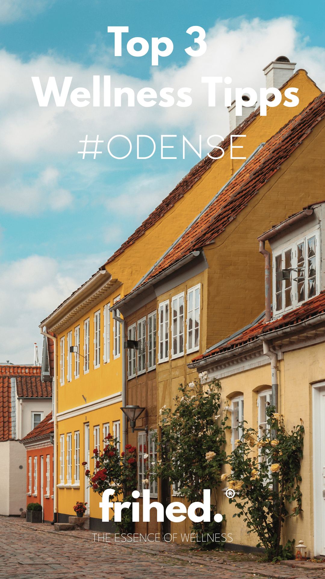 3 bedste wellness-tips i Odense – fred, vand og nordisk ro