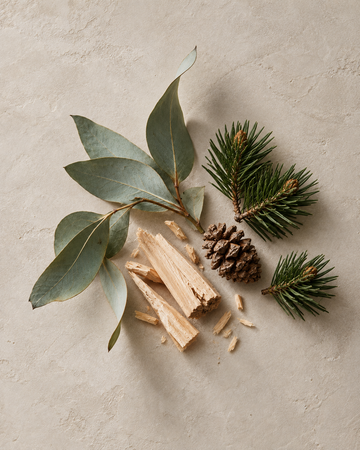 Zirbe, Latsche & Eukalyptus