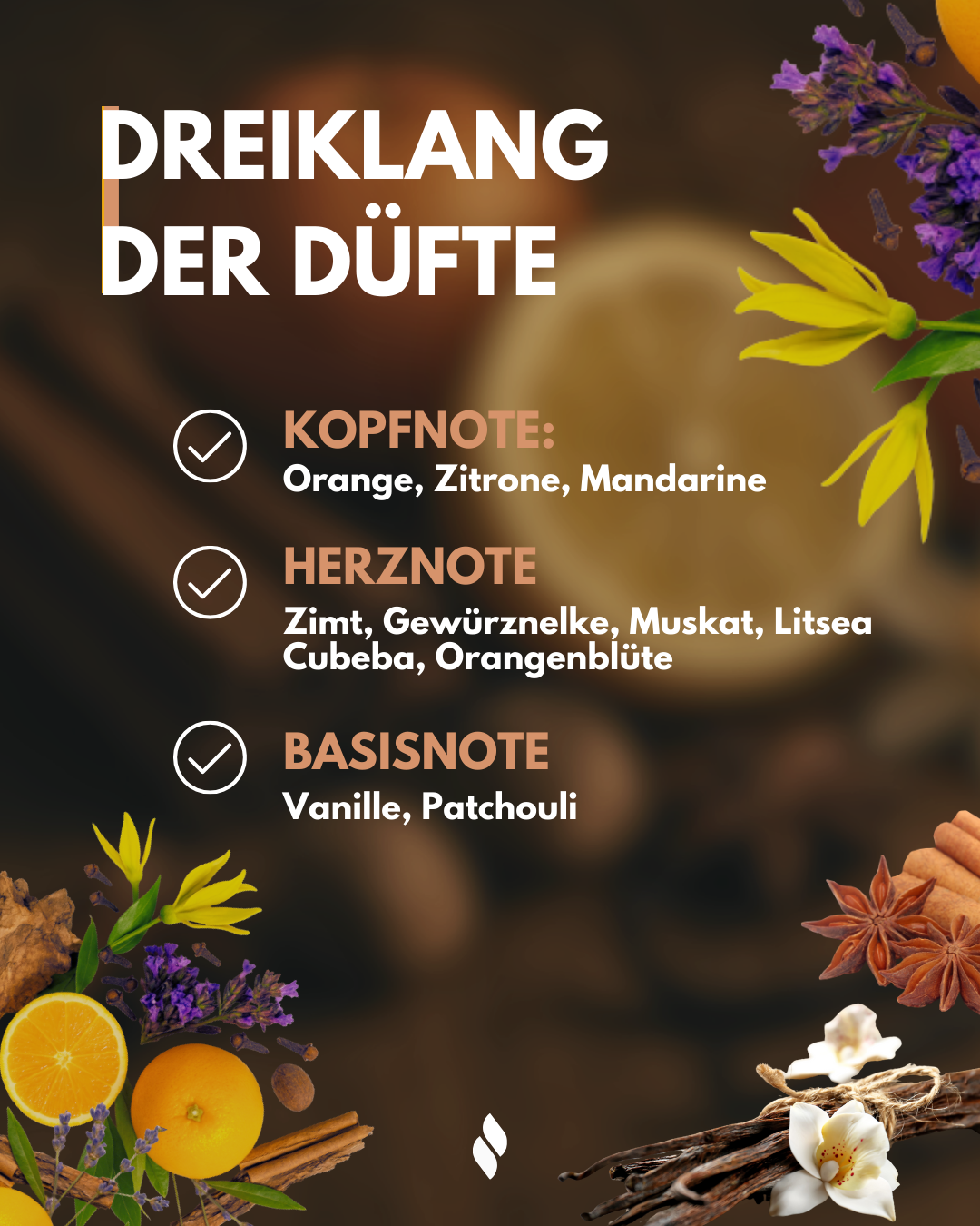 Wellnesskerze Zenlys