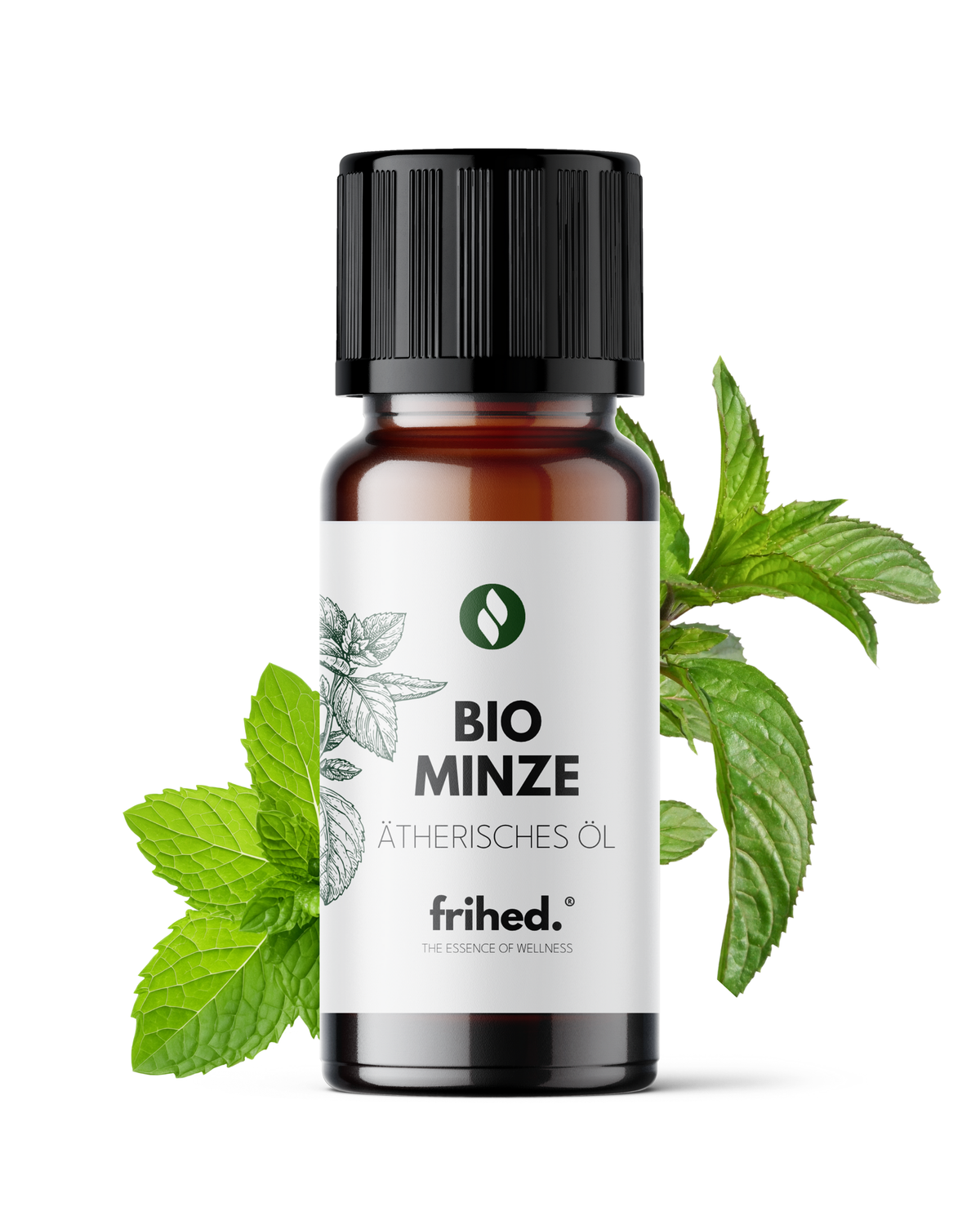 Bio ätherisches Minzöl in der 10-ml-Flasche