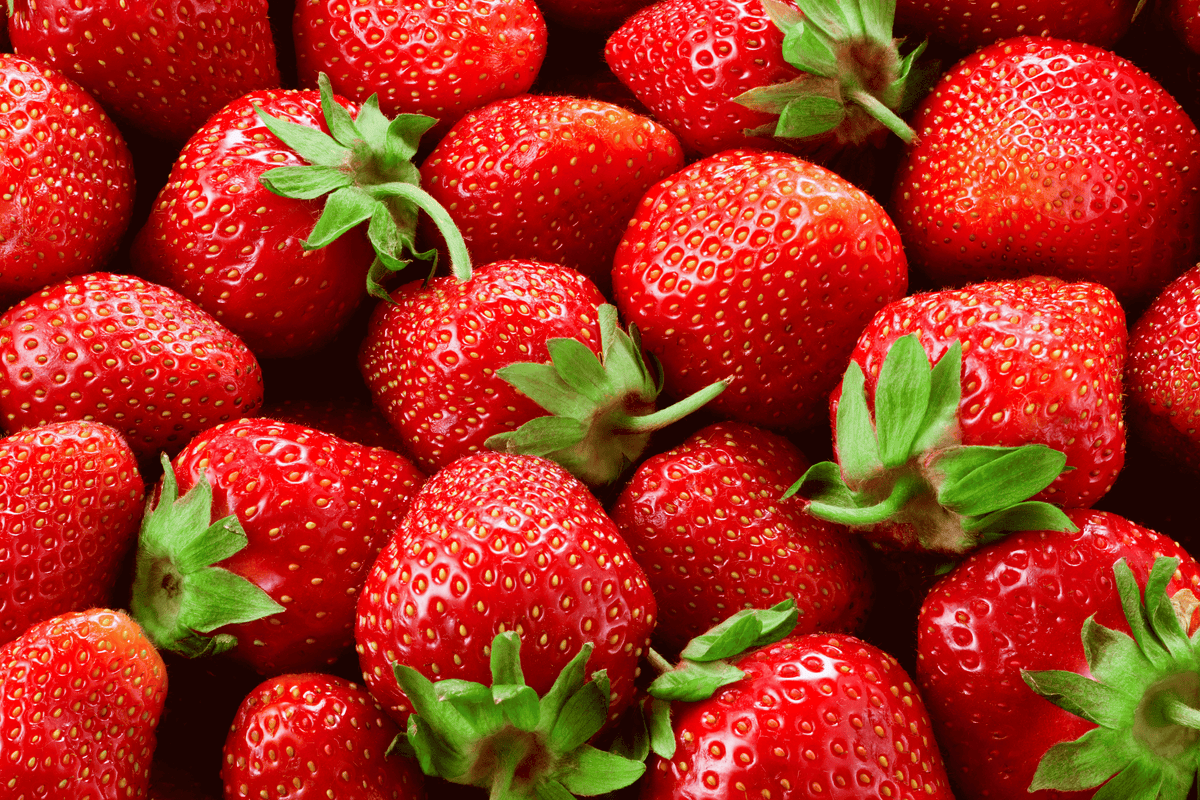 Sauna infusion jordbærcreme - Berry Infusion